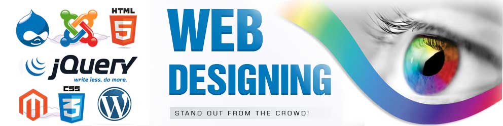 web design delhi, web designing delhi, website design company delhi, web promotion india