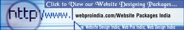 web design delhi, web designing delhi, website design company delhi, web promotion india