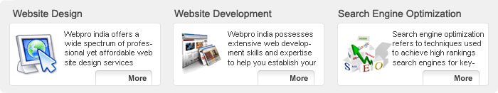 web design delhi, web designing delhi, website design company delhi, web promotion india